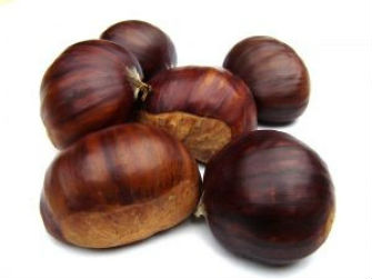 2013 concurso sabor castanha vencedores