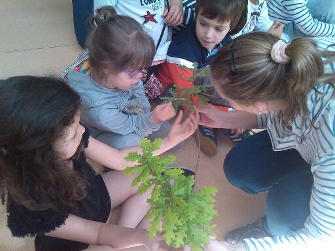 2014 associacao florestal eb1arouca