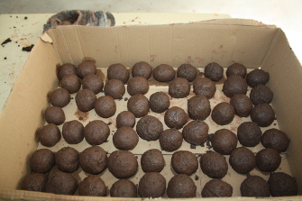 2014 bolas de semente