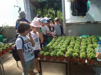 2014 dia da biodiversidade