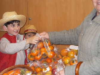 2014 feirinha canelas