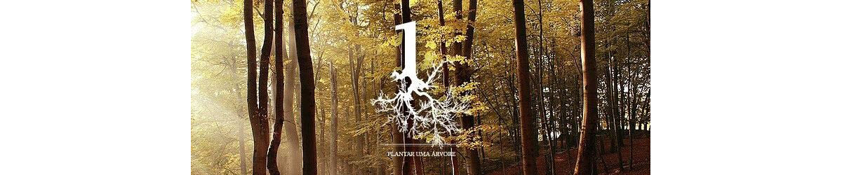 Cartaz do dia da floresta autóctone