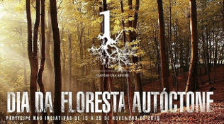 Cartaz do dia da floresta autóctone