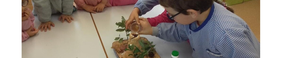 Alunos do JI fazem ciência.