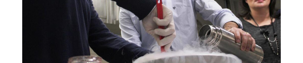 Experiências moleculares gastronómicas!