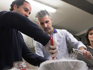 Experiências moleculares gastronómicas!