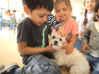 Um pequeno cão recebe carinhos dos alunos.