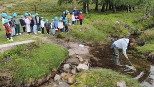 Sala 1 do JI de Arouca descobre os segredos da Serra da Freita numa visita dedicada à libélula Macromia